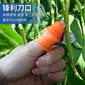 Gants de cueillette pour poivre du Sichuan, couteau à pouce, ongles en fer pour l'élagage des boutons de vigne, sécateurs, ciseaux d'élagage pour la récolte - Product Image 1