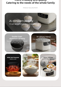 <span class=keywords><strong>Cuiseur</strong></span> à <span class=keywords><strong>riz</strong></span> intelligent 2L pour <span class=keywords><strong>cuiseur</strong></span> électrique multifonctionnel pour <span class=keywords><strong>2</strong></span> <span class=keywords><strong>personnes</strong></span> avec tasse à mesurer boîtier en plastique pour dortoir domestique - Product Image 5