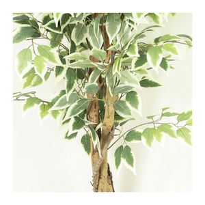 Arbre ficus artificiel en plastique à vente chaude avec des bords blancs, plante de haute qualité, décorations pour la maison - Product Image 6