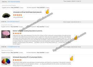 Abanico <span class=keywords><strong>de</strong></span> mano plegable <span class=keywords><strong>de</strong></span> plumas <span class=keywords><strong>de</strong></span> pavo real para mujer, accesorio para fiesta <span class=keywords><strong>de</strong></span> té, baile <span class=keywords><strong>de</strong></span> vacaciones, decoración nupcial para boda, venta al por mayor - Product Image 6