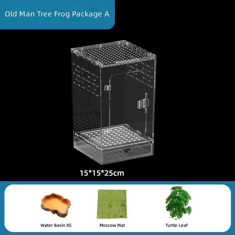 Tree Frog#A