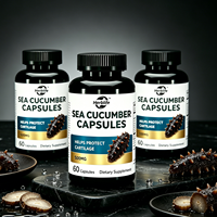 Capsules de Concombre de Mer Séché, Complément Alimentaire, Prix de Gros Usine Chine, OEM, Marque Privée, Extrait de Concombre de Mer, Capsules Dures
