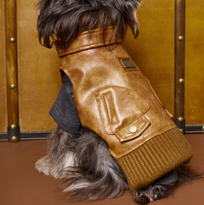 Ropa para perros Traje de invierno Schnauzer Oso de peluche Bichon Frise Moderno de lujo Ecológico Chaleco de cuero sin mangas - Product Image 4