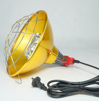 Lampe chauffante étanche IP65 300W 110V AC pour l'intérieur et l'extérieur, idéale pour l'élevage de poulets, lapins, chiens, porcs et autres animaux d'élevage - En stock
