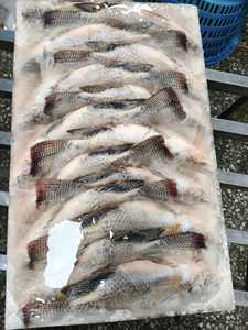 Vente en gros de poisson congelé BQF Tilapia 800g+ BQF 100% POISSON VIVANT en promotion Prix usine de Tilapia BQF élevé en ferme - Product Image 6