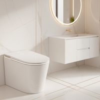 WC intelligent de luxe avec siège chauffant, sanitaire, automatique, monobloc, à poser au sol