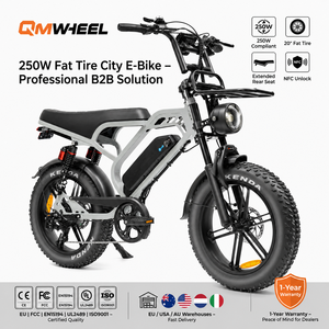 QMHEEL V20Limited 48V Electric Mountain Bike Electric City Bike Lithium <b>Battery</b> Kenda Fat Tire for DTC Brand OEM ODM - Product Image 1