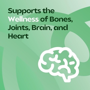 Gummies de Moringa Naturelles Superaliment Gummies de Moringa Complément de Moringa Distributeurs de Compléments en Gros - Product Image 4