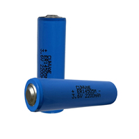 Batterie au lithium AA 3,6 V ER14505M 2600 mAh pour télécommandes et appareils électroniques grand public