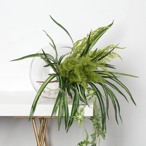 Slant Cut Bowl Glasvase, klare runde Globe Planter <span class=keywords><strong>Terrarium</strong></span> Kugel, Blumen behälter für Home Office Dekor umwelt freundlich - Product Image 5