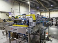 Machine de chargement et de déchargement automatique pour panier de cornue dans la chaîne de production