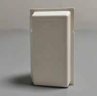 Boîte cadeau en pulpe de canne à sucre personnalisable, de haute qualité, recyclable, biodégradable et respectueuse de l'environnement, pressée à l'état humide