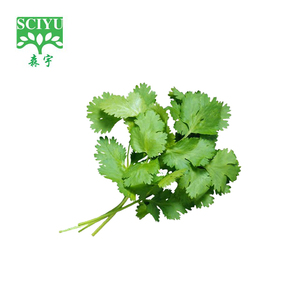Extracto <span class=keywords><strong>de</strong></span> <span class=keywords><strong>Semilla</strong></span> <span class=keywords><strong>de</strong></span> <span class=keywords><strong>Cilantro</strong></span> <span class=keywords><strong>en</strong></span> <span class=keywords><strong>Polvo</strong></span> 20:1 10:1 Soluble <span class=keywords><strong>en</strong></span> Agua para Suplementos Alimenticios - Product Image 3
