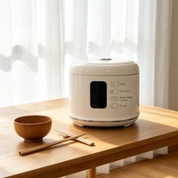 Mini-cuiseur à riz électrique intelligent multifonctionnel haute performance à cuisson rapide WT-D03-2.5L avec ouverture de couvercle en un clic et commande tactile