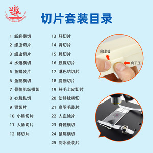 Biological specimen slides, 25 new animal combination kits, clear tissue <b>microscope</b> accessories, biological slides, specimens - Product Image 2