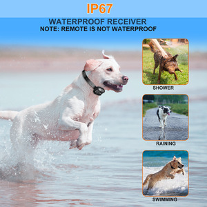 Uzun menzilli kontrol şarj edilebilir pil su geçirmez tasarım çoklu <span class=keywords><strong>e</strong></span>ğitim modları güvenli davranış düzeltme köpek <span class=keywords><strong>e</strong></span>ğitim yaka - Product Image 5