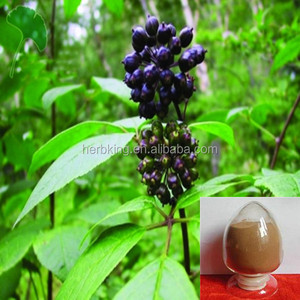 Bán buôn tinh khiết eleuthero chiết xuất từ rễ bột acanthopanax senticosus chiết xuất - Product Image 2