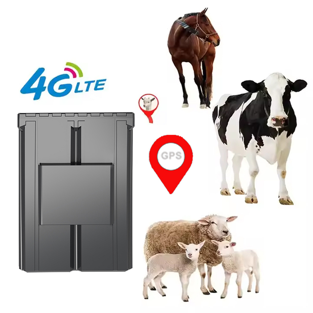 Custom Ear Tag Gps Cattle Trackers Sheep Cow  Camel Animal 4G Rtk Mini Gps Locator Solar Panel Tracking Device Electronic Fence