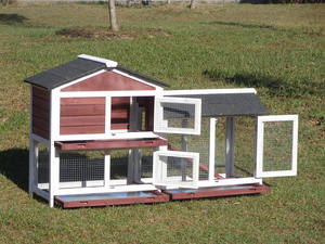 小動物用アプリケーションケージ環境にやさしいソリッドパターン木ウサギ & アヒルハッチハウス - Product Image 3