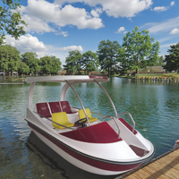 Bateau électrique de haute qualité pour 5 personnes avec fonction de vidange automatique pour un usage commercial, parc d'attractions le plus vendu