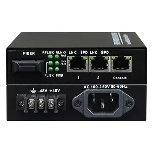 Gigabit Ethernet Fiber Media Converter 2 port media converter