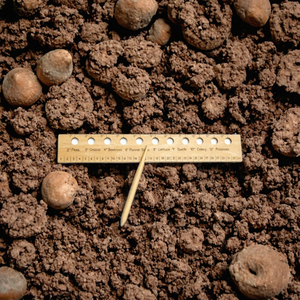 Règle d'espacement des semis en bois certifiée FSC et kit de semis - Outil de plantation précis pour le jardin potager - Product Image 3