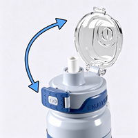 Botol Air Vakum Isolasi SUS316 dengan Tutup Pop Up, Termos Olahraga, Tumbler Sedotan Portabel untuk Aktivitas Luar Ruangan, Sekolah, Gym, Logo Custom