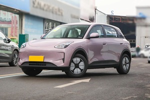 Offerta Speciale 2024 per Star Wish 310km Versione Youth, Auto Elettrica Usata con Motore 150-200kW e Batteria 30-50kWh - Product Image 3