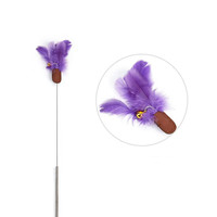 Nouveau jouet pour chat à long manche avec plume, bâton de chatouillage à ventouse, baguette de chasse pour chaton à ressort, jouets interactifs pour chat