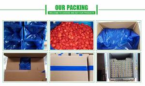 Frutti Liofilizzati Più Venduti Fragole con Fragole Congelate Kosher - Product Image 5