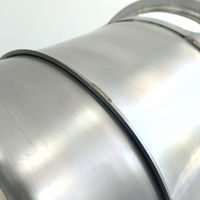 Catalyseur d'échappement neuf DAF Actros avec support catalytique en céramique alvéolée 21345351705, 21444351705, 2144435R1705
