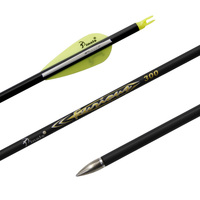 Flèches Pinals Archery 300 340 400 500 600 Spine pour arcs composés, arcs classiques, arcs longs, flèches en carbone de 30 32 pouces