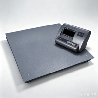 Plateforme de pesage au sol 300 kg avec écran LCD, précision 1g, personnalisation ODM