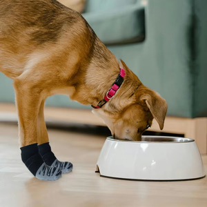 OEM Pet <strong>Dog</strong> <strong>Socks</strong> Pet Protection Indoor Wear Pet <strong>Socks</strong> 4pcs/set Cotton Breathable Outdoor Warm <strong>Socks</strong>