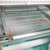 Vente chaude : Cage automatique pour poules pondeuses, capacité 10 000 oiseaux, pour ferme avicole automatique, cages à batterie de type H pour l'alimentation des volailles