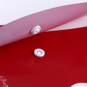 Tùy chỉnh in mờ PP tài liệu thư mục phong bì túi với Snap Nút đóng cửa nộp hồ sơ sản phẩm - Product Image 3