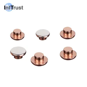 Switch socket brass stamping electrical silver contact rivets copper metal stamping parts switch brass terminal contact