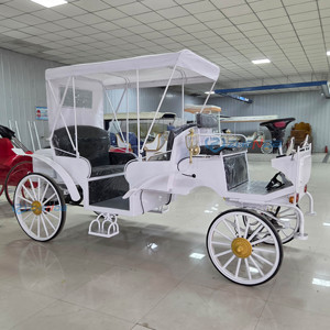 High Quality Tourism Pure White Black Seat Sightseeing Carriage, Tourist Attractions, Hotels, Sightseeing Carriage - Product Image 6