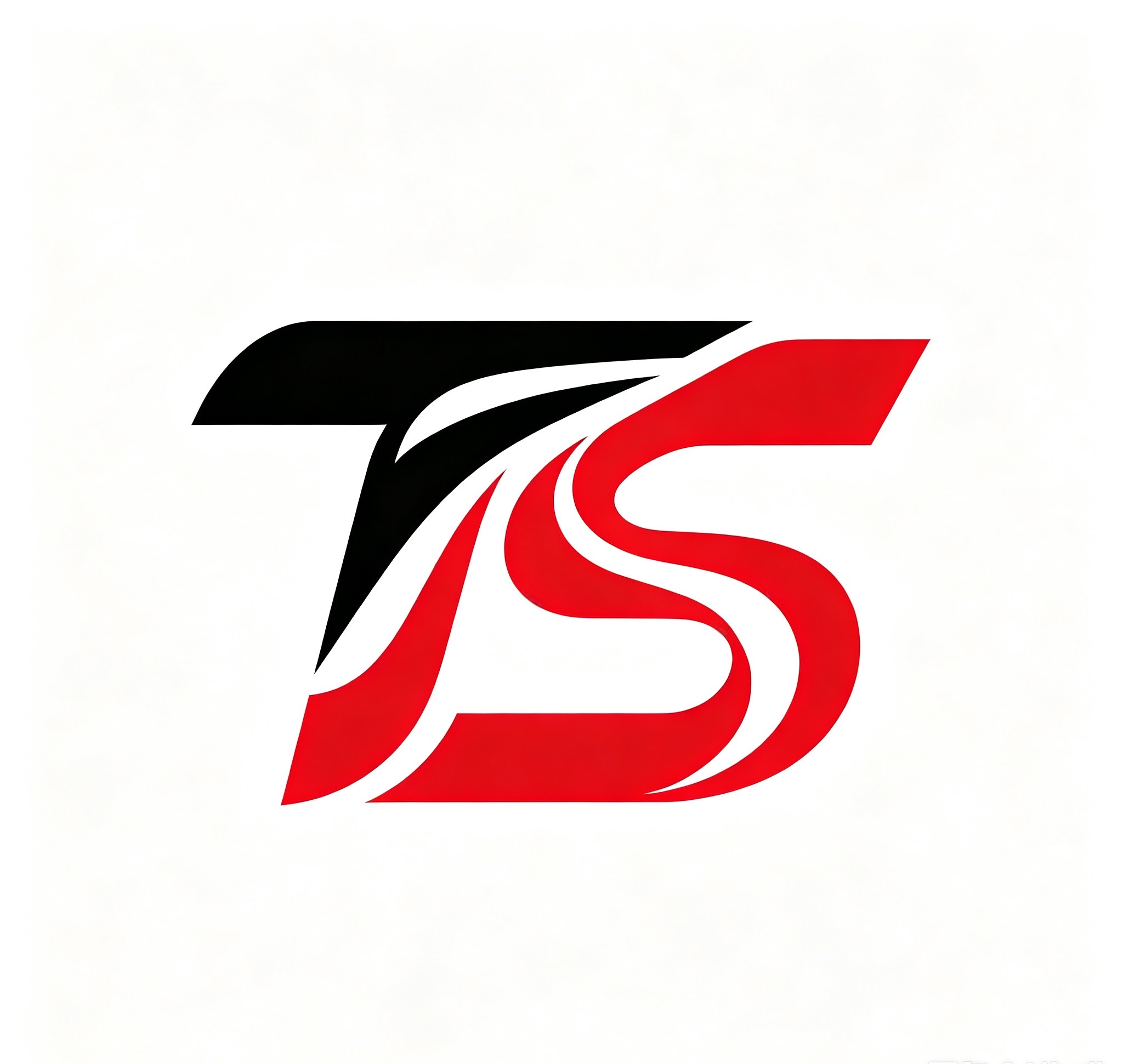Yangzhou Tengshi Sports Health Products Co., Ltd. logo