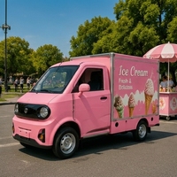Nouveau mini-camion électrique utilitaire EV avec une capacité de charge de 500 kg et une autonomie de moins de 100 km pour les boutiques de bubble tea/pizza/café