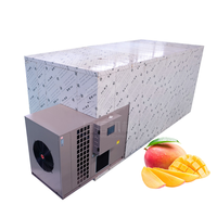 Voedsel- en fruitdroogruimte, sinaasappeldehydrator, groentedroogapparatuur, mangodroogmachine