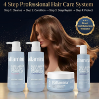 [Certifié GMPC] Ensemble de soins capillaires professionnels Pallamina au collagène et à la kératine pour réparer en profondeur les cheveux abîmés et secs (Marque privée / OEM)