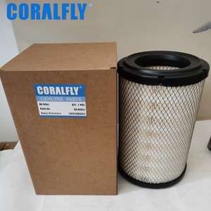 Filtro de Aire para Camiones de Trabajo Pesado al por Mayor C6121 PA32000 1109130B5051 AF27879 D37 - 1061 - Product Image 1