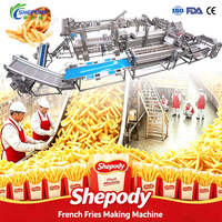 Ligne de production de frites/patates chips Shepody 500 kg/h, certifiée CE, machine à frire pour la fabrication de chips de pommes de terre et de chips de patates douces