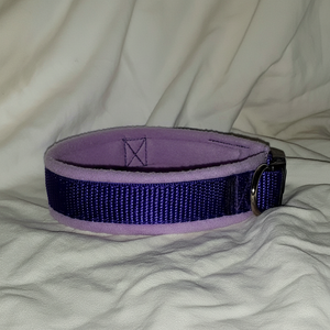 Collar Estándar Para Perro Con Forro Polar Ancho Ajustable-Lila/Púrpura - Product Image 1