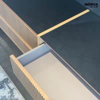 Meuble TV NORYA au design luxueux en bois, panneau HPL résistant à l'usure, meuble TV pour salon, meubles en bois pour la maison