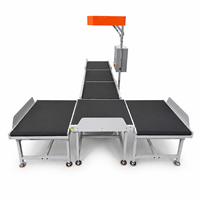 Machine de tri automatique à 4 voies avec convoyeur et déviateur dynamique pour la logistique de colis en entrepôt