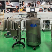 Machine de trempe automatique par lots LST 25/60/100L machine de trempe au chocolat de haute qualité à vendre