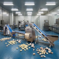 Machine à peler l'ail DY, solution personnalisée, ligne de production industrielle automatique de pelage d'ail 300-4000 kg/h