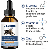 Compléments alimentaires pour animaux de compagnie L-Lysine naturel pour chats avec colostrum, taurine, vitamines, minéraux, L-Lysine pour chats, complément pour soutenir le système immunitaire
